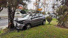 El pasado domingo, un conductor novel colision� contra un �rbol del Cant�n, se dio a la fuga y dio positivo en alcohol