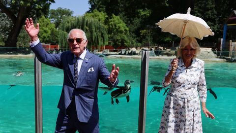 Los reyes Carlos III y Camila en el zoo de Londres