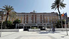 Hay m�s de ochenta ingresados, muchos de ellos en el Hospital La Virgen del Roc�o, en Sevilla