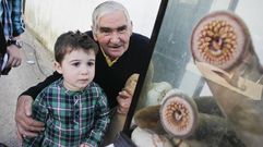 Festa da Lamprea del r�o Ulla en Cesures.