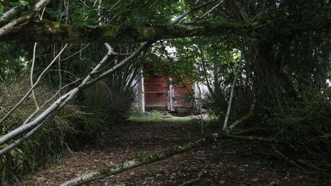 Pazo de Isabel II en Neda