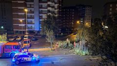 Ca�da de un �rbol en la avenida viguesa de A Florida