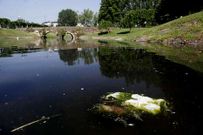 Aspecto de la laguna del parque esta semana.
