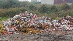 Botellas y latas, as� como hojas, fueron recogidas horas despu�s