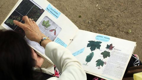 Tere conserva o libro co que ensinou aos seus alumnos a distinguir moitas das especies do parque