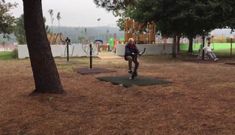 Alarma por la presencia de ratas cerca de un parque infantil de Milladoiro