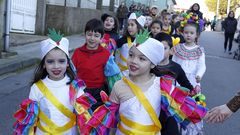 �lbum de fotos: Los escolares barbanzanos lucieron los mejores disfraces en los desfiles de carnaval