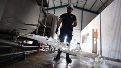 Un ganadero andaluz tirando la leche