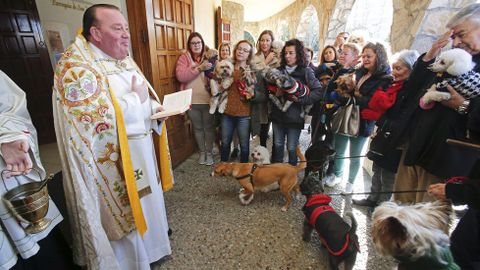 Bendici�n de mascotas en la iglesia de Campolongo