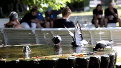 Santiago rebaja el consumo de agua preservando la supervivencia de animales y plantas.