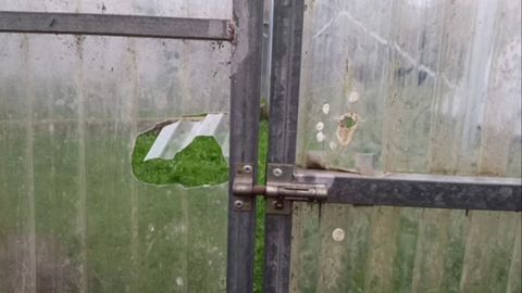 Detalle del destrozo de la puerta del invernadero del Jacinto Benavente de La Camocha