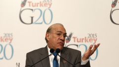 El secretario general de la Organizaci�n para el Desarrollo y Cooperaci�n en Europa (OCDE), Jos� �ngel Gurr�a