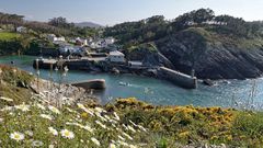 Viav�lez, El Franco