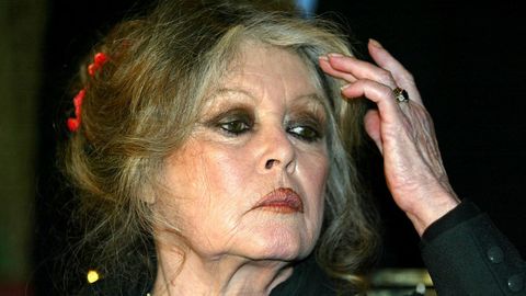 La actriz francesa, en el 2004