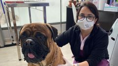 Laura, en la cl�nica, donde trabaja con la auxiliar Silvia S�nchez Cela