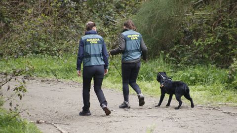 La unidad cinol�gica busca el cad�ver de Enrique Bol�var en Abad�n