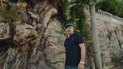 Camilo Nieto imparte el curso sobre la poda e injertos del casti�eiro