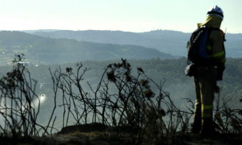Las altas temperaturas de estos d�as mantuvieron alta la alerta de incendios en la zona. 