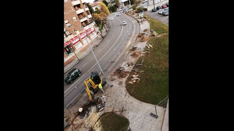 Tala de �rboles en la calle Sabino Fern�ndez Campo de Oviedo