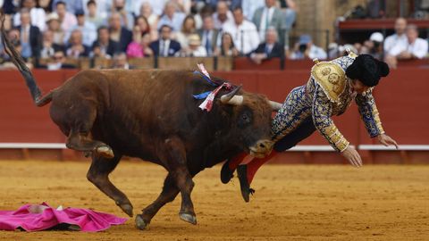 Morante de la Puebla sufri� una grave cogida en la plaza de la Maestranza en Sevilla