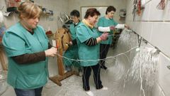 Foto de archivo de la entidad, en acci�n