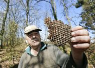 Andr�s muestra los restos de la colmena de velutina. 