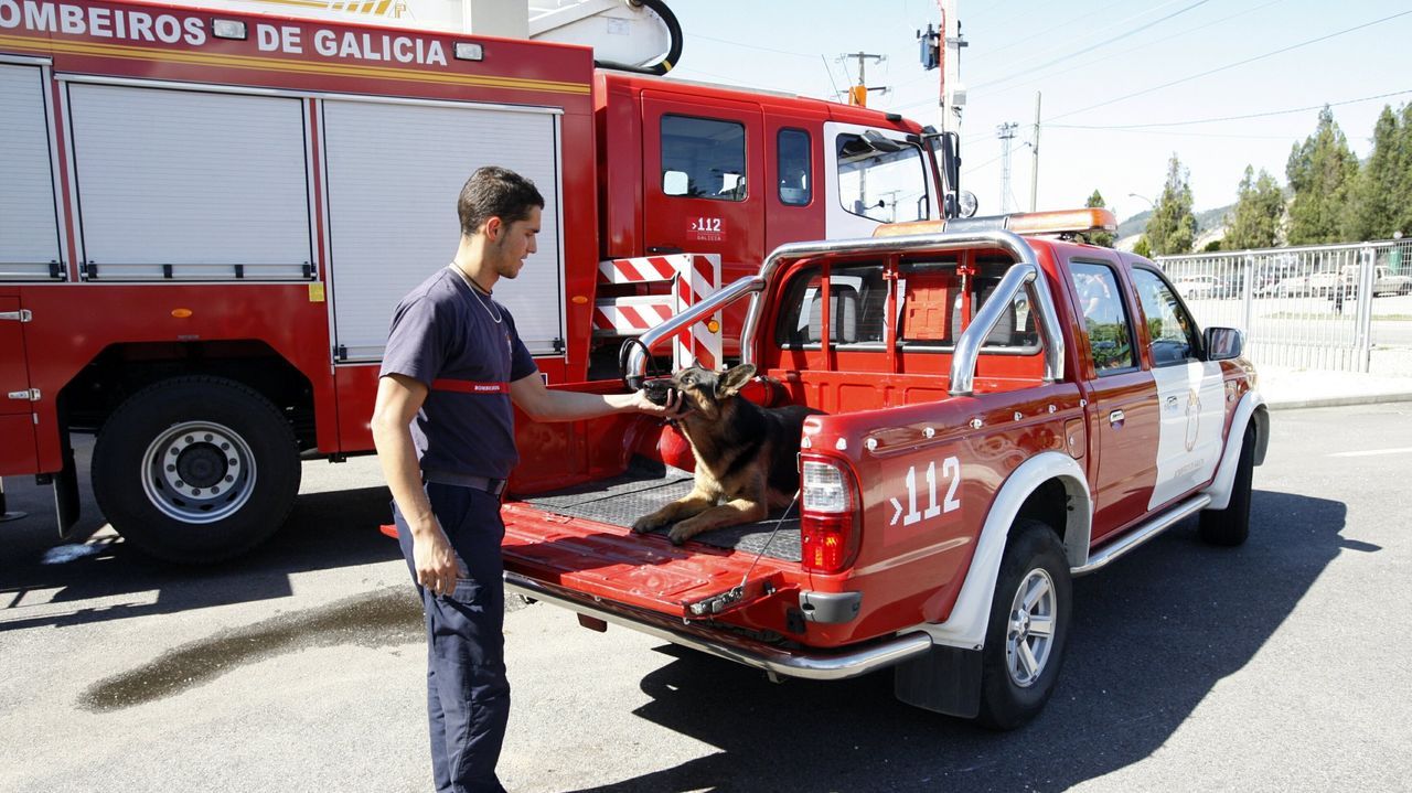 Un herido con quemaduras en un incendio en unos cobertizos de Redondela donde murieron cuatro ovejas