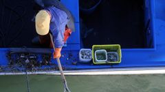 Recuperar los bancos de libre marisqueo es una tarea pendiente