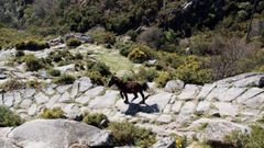 Ruta de Castelo de Vitres