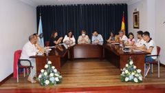 Pleno de organizaci�n de Lousame