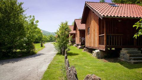 Camping Picos de Europa, Avn