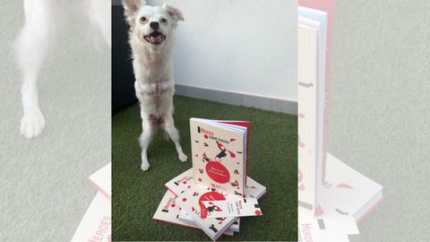 Lola es una de las protagonistas de Hroes sobre ruedas, un libro con 25 historias de perros paralticos.