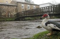 Las crecidas de los r�os son el eje del estudio, que busca prevenir las inundaciones. 
