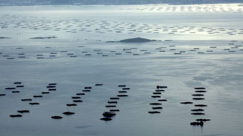 Bateas en la ria de Arousa, desde A Coruta