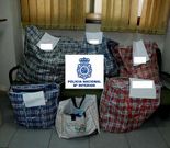 Las bolsas con el material robado estaban en el maletero.