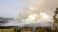 Incendio en Fe�ns.