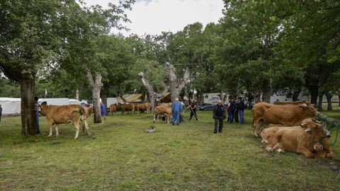 Feiras de Primavera en O P�ramo