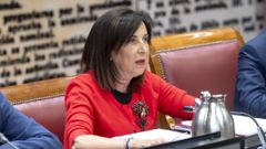 Margarita Robles, este martes ante la Comisin de Defensa en el Senado.