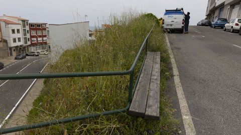 Maleza sin desbrozar en Malpica