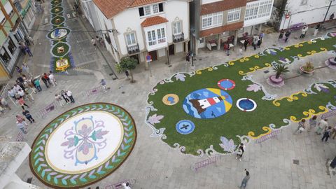 Alfombras Florales de Ares