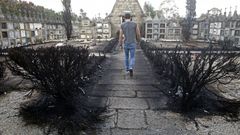 Cenizas m�s cenizas en As Neves