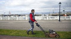 Cuatro de las plazas ofertadas son para operarios de parques y jardines