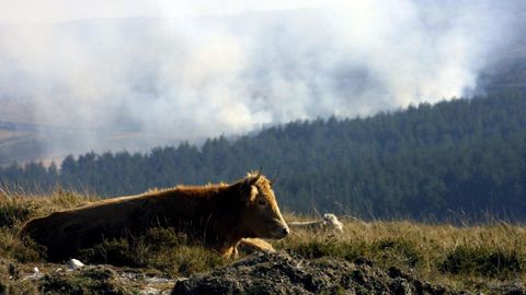 Imagen de archivo de un incendio invernal, de diciembre del 2001, en montes de Vern