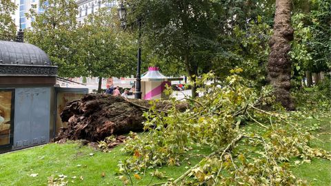 Campo de San Francisco