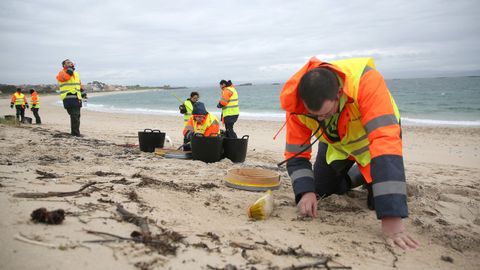 TRABAJADORES CONTRATADOS POR LA ARMADORA DEL TOCONAO LIMPIAN LA PLAYA DE O CASTRO DE PELETS