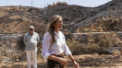 La vicepresidenta tercera del Gobierno y ministra para la Transici�n Ecol�gica y el Reto Demogr�fico, Sara Aagesen, durante su visita este martes a la zona afectada por el incendio de Los Gallardos.