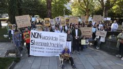 Manifestación en contra del sacrificio de tres perros del refugio de animales de Bando, en Santiago