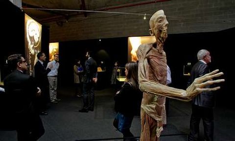 Con motivo del D�a del Sida se instalar� un punto informativo en la muestra �Human Bodies�.