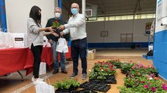 El Concello de O Barco regal� plantas para que los vecinos llenen de flores los balcones y las terrazas del Cami�o de Inverno