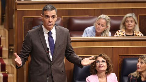 El presidente del Gobierno, Pedro Snchez, durante la sesin de control al Ejecutivo.